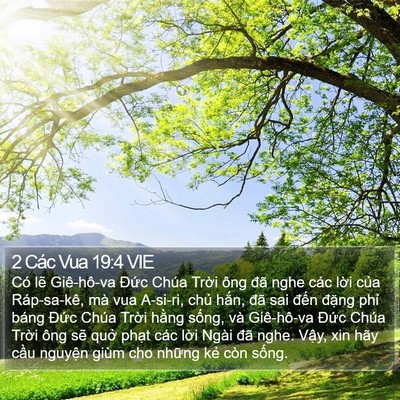 2 Các Vua 19:4 VIE Bible Verse Image