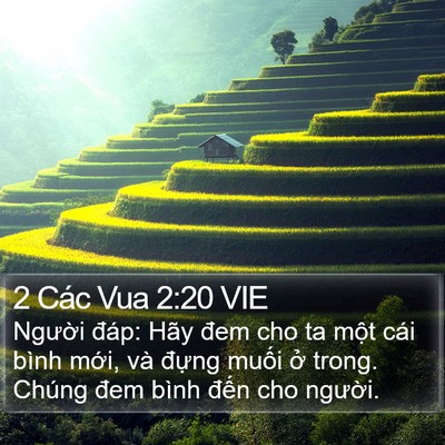 2 Các Vua 2:20 VIE Bible Verse Image