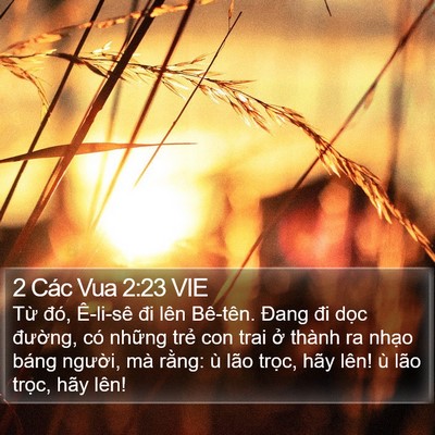 2 Các Vua 2:23 VIE Bible Verse Image