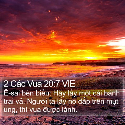 2 Các Vua 20:7 VIE Bible Verse Image