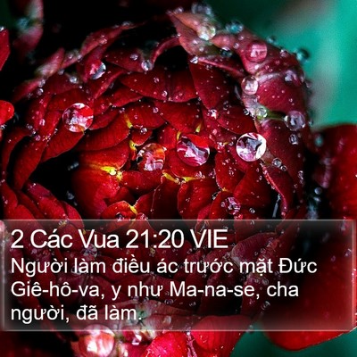 2 Các Vua 21:20 VIE Bible Verse Image
