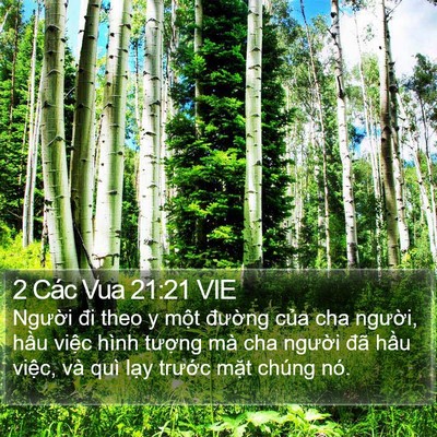 2 Các Vua 21:21 VIE Bible Verse Image