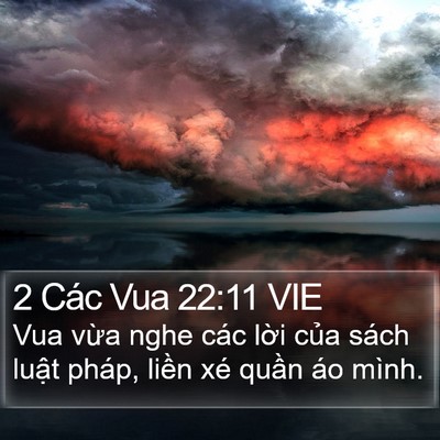 2 Các Vua 22:11 VIE Bible Verse Image