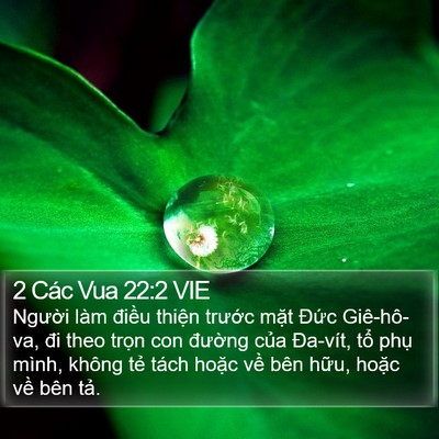 2 Các Vua 22:2 VIE Bible Verse Image