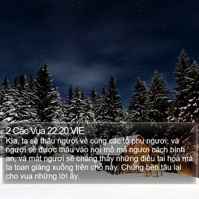 2 Các Vua 22:20 VIE Bible Verse Image