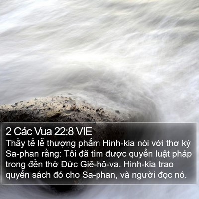 2 Các Vua 22:8 VIE Bible Verse Image