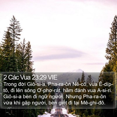 2 Các Vua 23:29 VIE Bible Verse Image