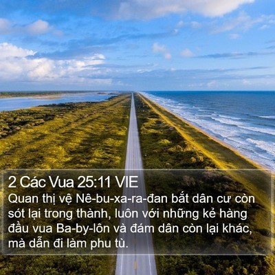 2 Các Vua 25:11 VIE Bible Verse Image