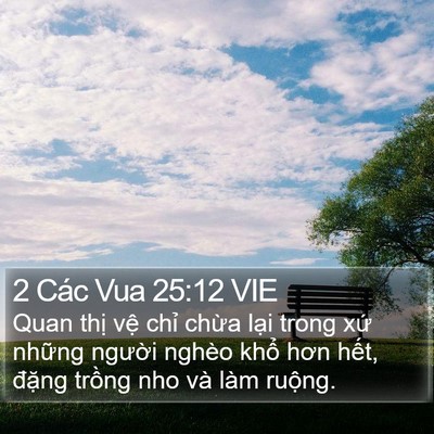 2 Các Vua 25:12 VIE Bible Verse Image