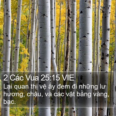 2 Các Vua 25:15 VIE Bible Verse Image