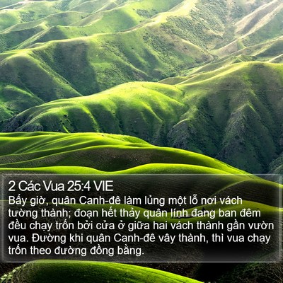 2 Các Vua 25:4 VIE Bible Verse Image