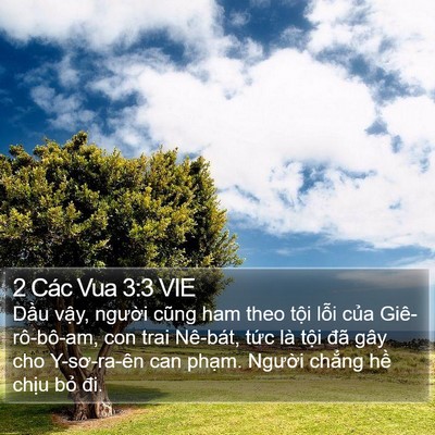 2 Các Vua 3:3 VIE Bible Verse Image
