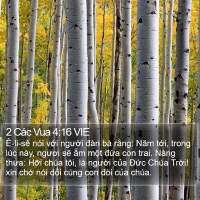 2 Các Vua 4:16 VIE Bible Verse Image
