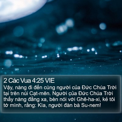 2 Các Vua 4:25 VIE Bible Verse Image
