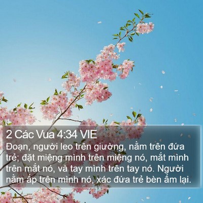 2 Các Vua 4:34 VIE Bible Verse Image