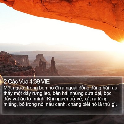 2 Các Vua 4:39 VIE Bible Verse Image