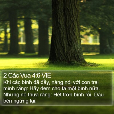2 Các Vua 4:6 VIE Bible Verse Image