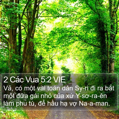 2 Các Vua 5:2 VIE Bible Verse Image