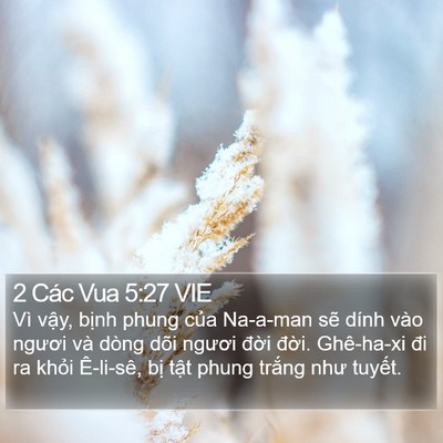 2 Các Vua 5:27 VIE Bible Verse Image