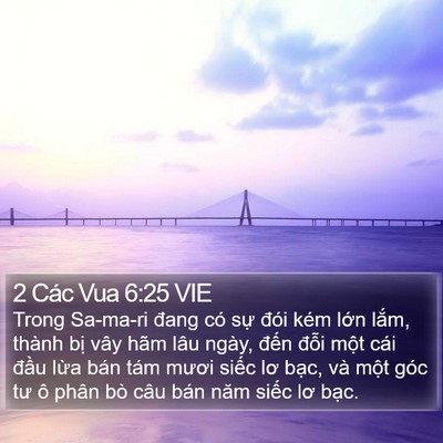 2 Các Vua 6:25 VIE Bible Verse Image