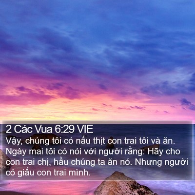 2 Các Vua 6:29 VIE Bible Verse Image