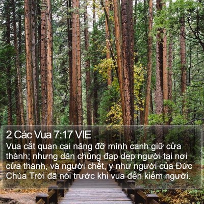 2 Các Vua 7:17 VIE Bible Verse Image