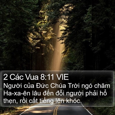 2 Các Vua 8:11 VIE Bible Verse Image
