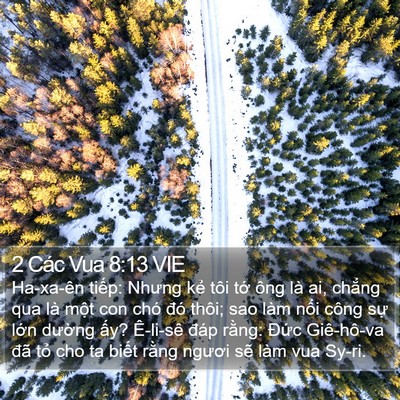 2 Các Vua 8:13 VIE Bible Verse Image