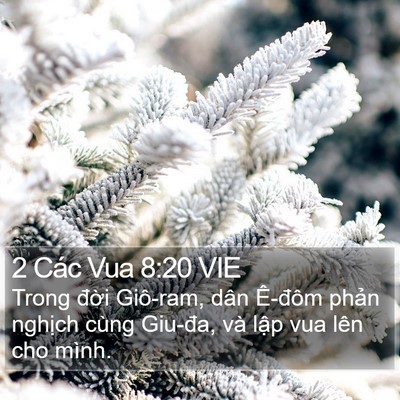 2 Các Vua 8:20 VIE Bible Verse Image