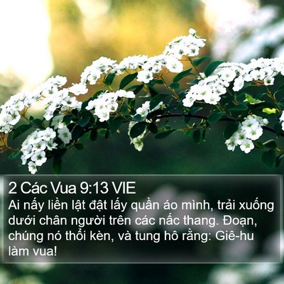 2 Các Vua 9:13 VIE Bible Verse Image