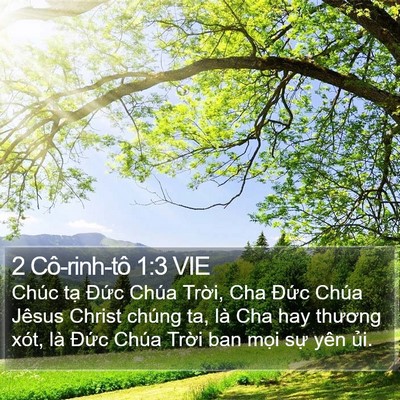 2 Cô-rinh-tô 1:3 VIE Bible Verse Image
