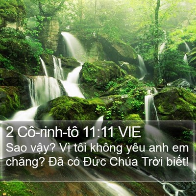 2 Cô-rinh-tô 11:11 VIE Bible Verse Image