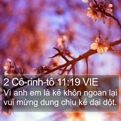 2 Cô-rinh-tô 11:19 VIE Bible Verse Image