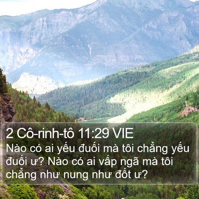 2 Cô-rinh-tô 11:29 VIE Bible Verse Image