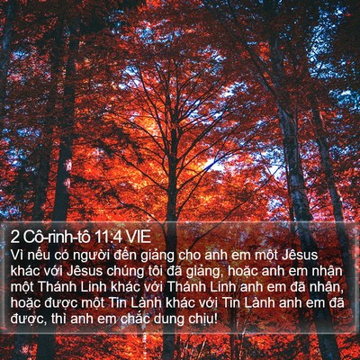 2 Cô-rinh-tô 11:4 VIE Bible Verse Image