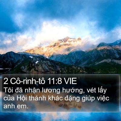 2 Cô-rinh-tô 11:8 VIE Bible Verse Image
