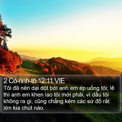 2 Cô-rinh-tô 12:11 VIE Bible Verse Image