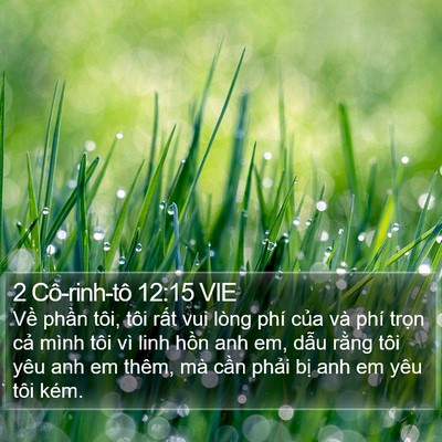 2 Cô-rinh-tô 12:15 VIE Bible Verse Image