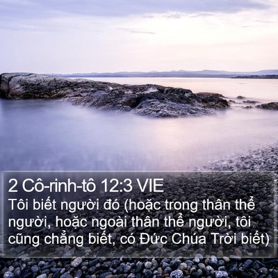 2 Cô-rinh-tô 12:3 VIE Bible Verse Image