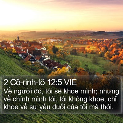 2 Cô-rinh-tô 12:5 VIE Bible Verse Image
