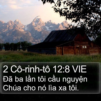 2 Cô-rinh-tô 12:8 VIE Bible Verse Image
