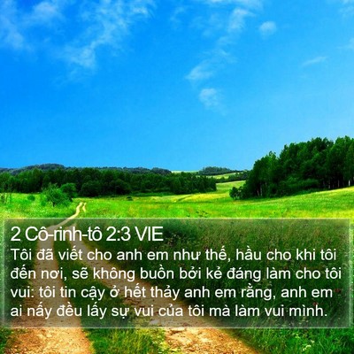 2 Cô-rinh-tô 2:3 VIE Bible Verse Image