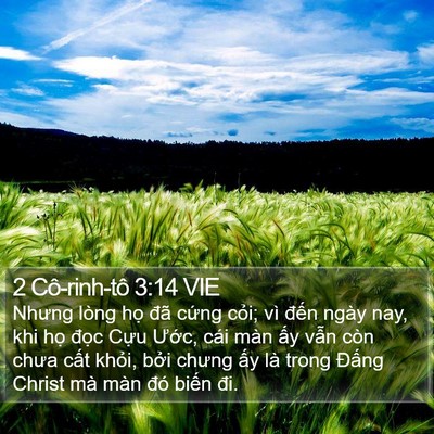 2 Cô-rinh-tô 3:14 VIE Bible Verse Image