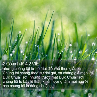 2 Cô-rinh-tô 4:2 VIE Bible Verse Image