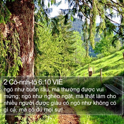 2 Cô-rinh-tô 6:10 VIE Bible Verse Image