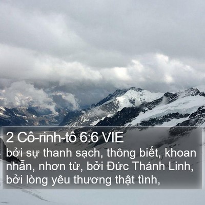2 Cô-rinh-tô 6:6 VIE Bible Verse Image