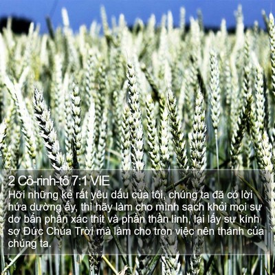 2 Cô-rinh-tô 7:1 VIE Bible Verse Image
