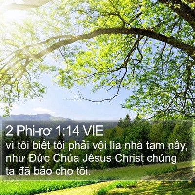 2 Phi-rơ 1:14 VIE Bible Verse Image