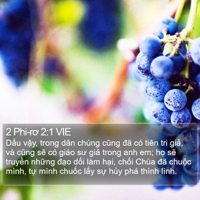 2 Phi-rơ 2:1 VIE Bible Verse Image