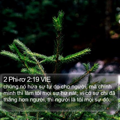 2 Phi-rơ 2:19 VIE Bible Verse Image